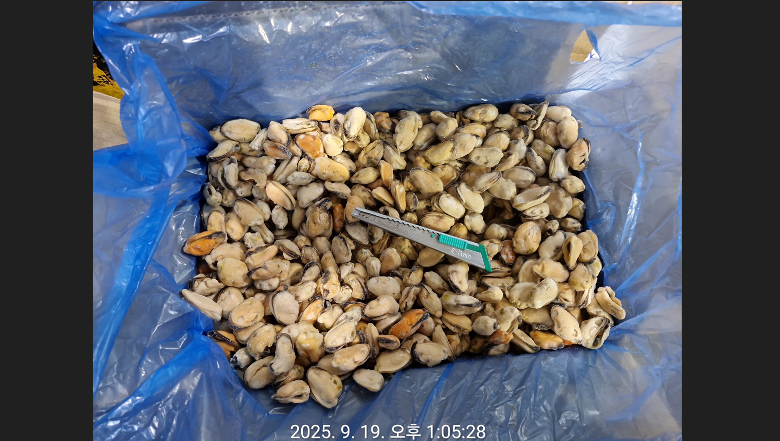 홍합 > 홍합살 > 200/300 미/KG 1