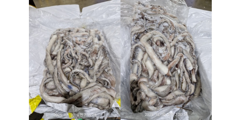 무라 > 장족 > 60CM UP 1