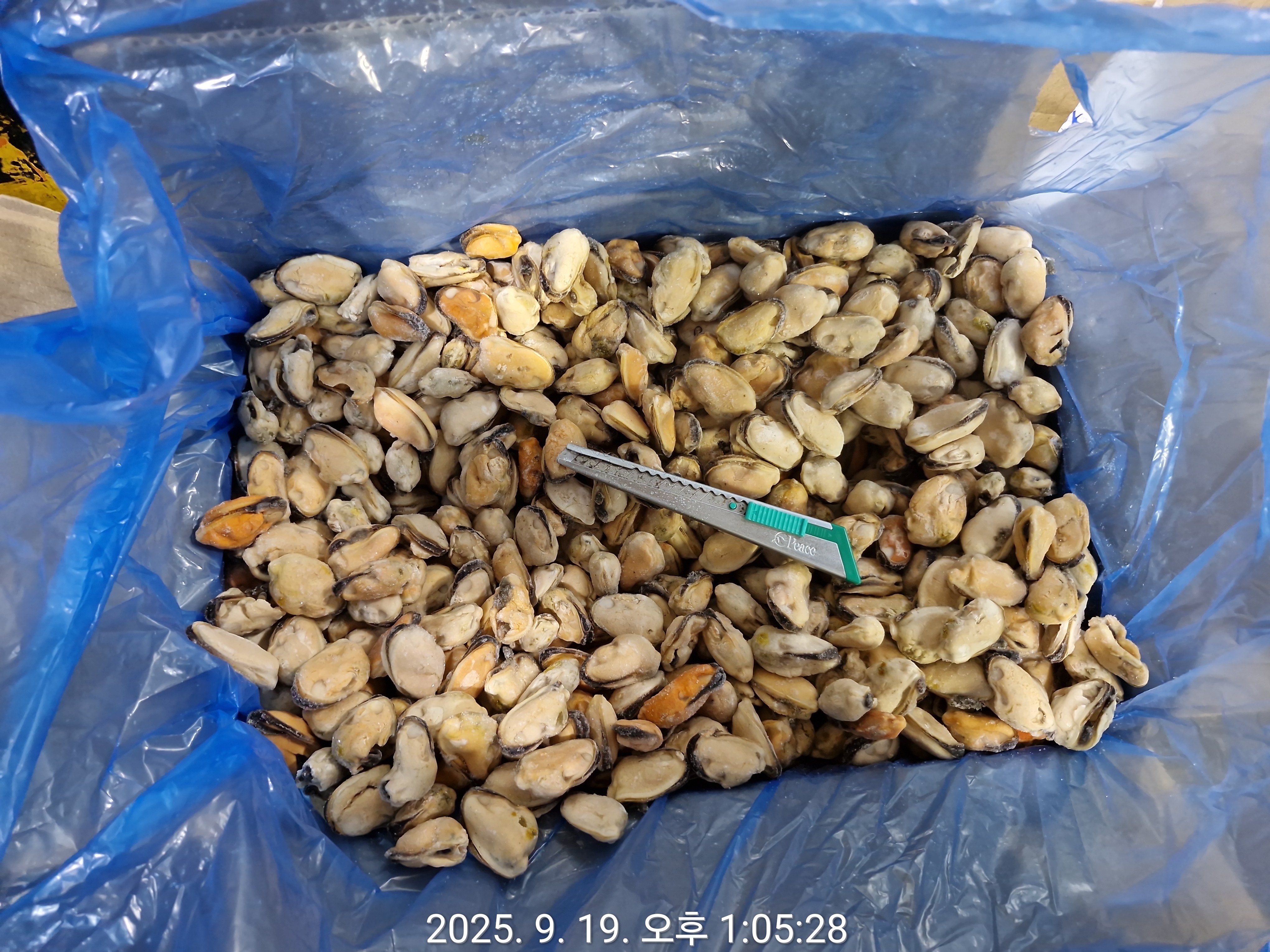 홍합 > 홍합살 > 200/300 미/KG 3