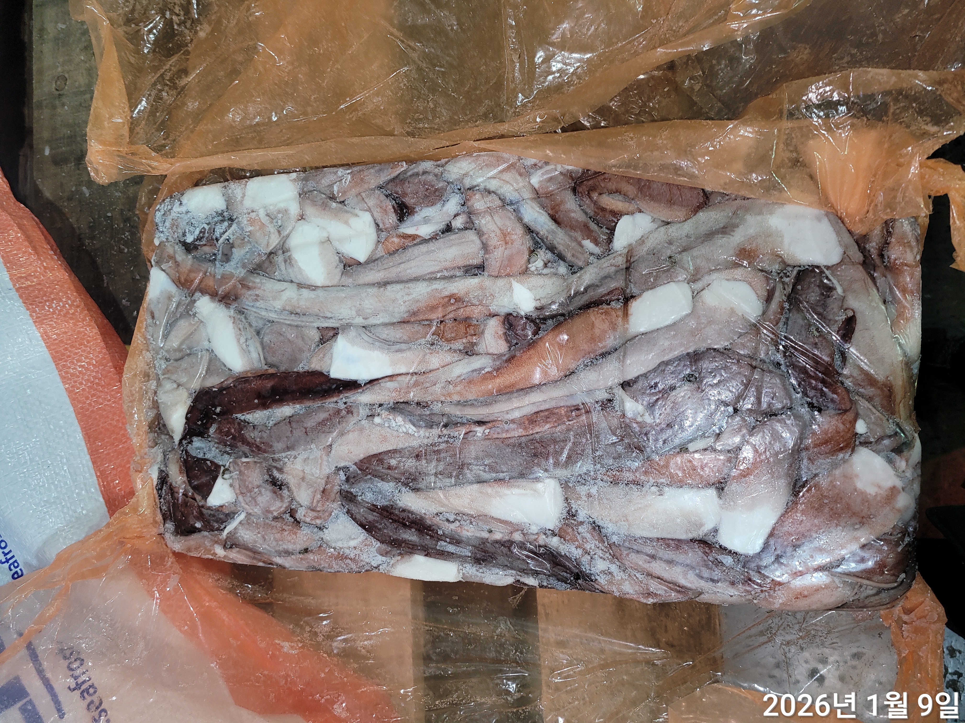 무라 > 장족 > 60G UP 6