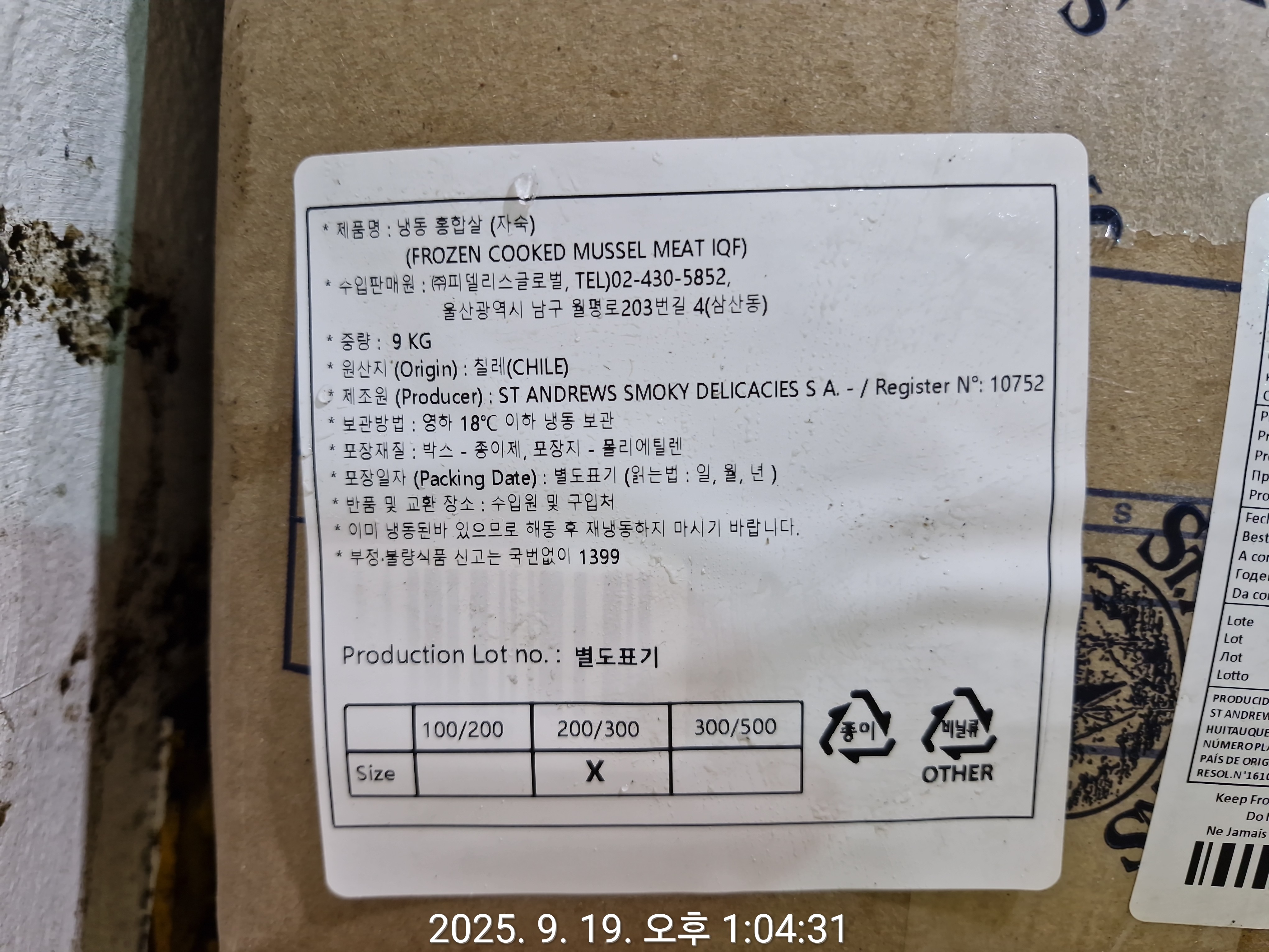 홍합 > 홍합살 > 200/300 미/KG 4