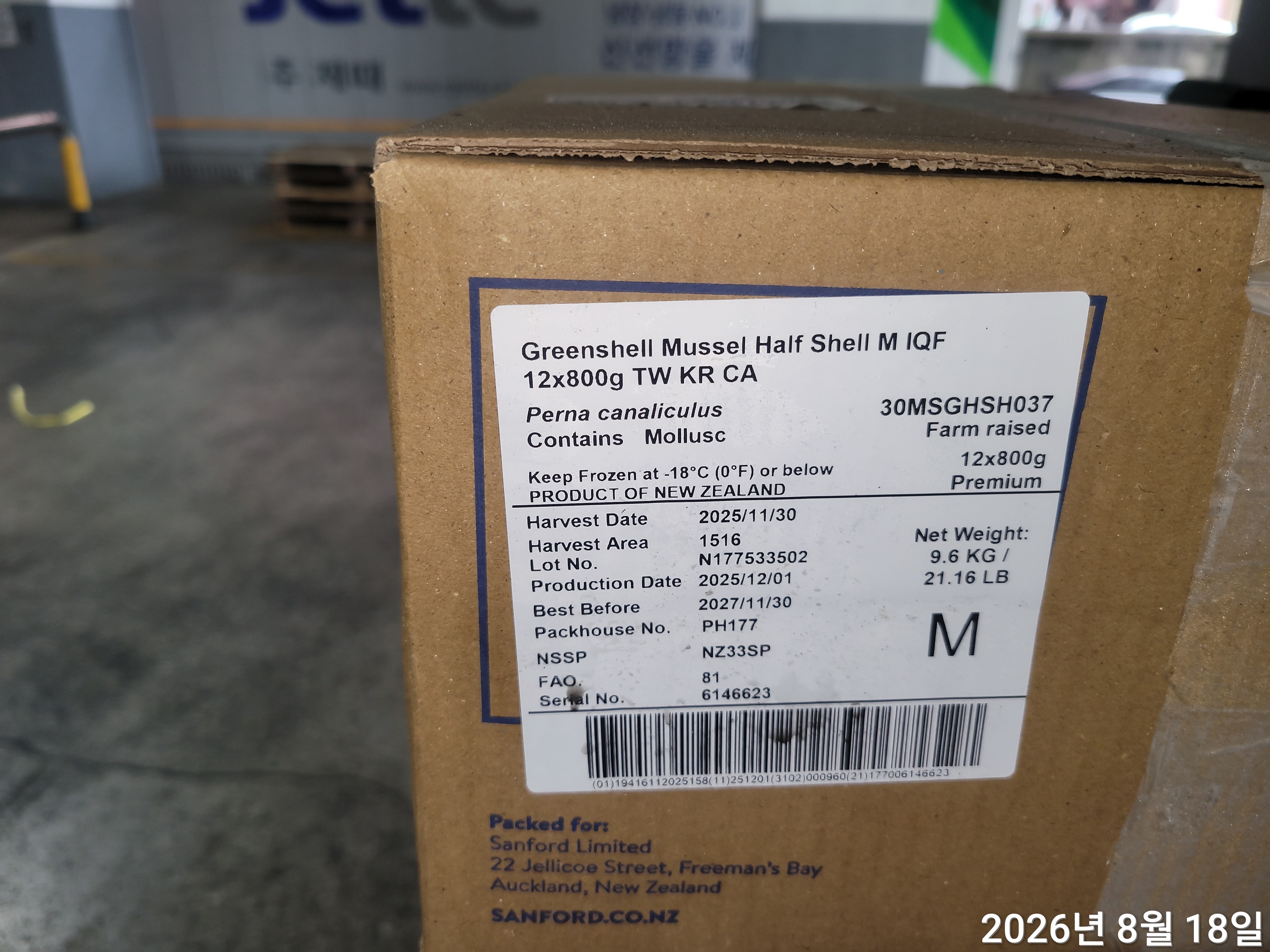 그린홍합 > 반탈각 > M 30/45 미/KG 9