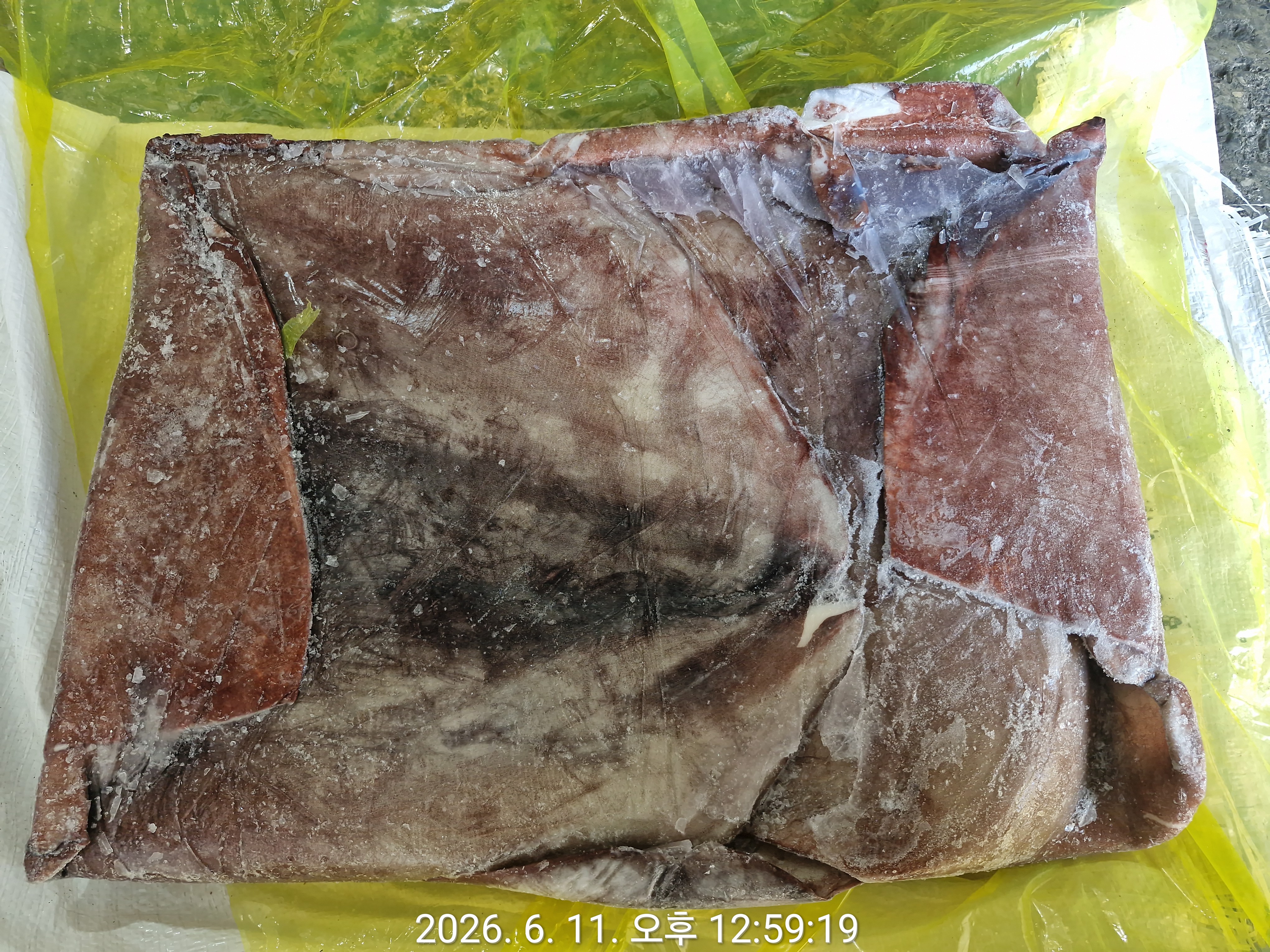 무라 > 귀 > 2KG UP 2