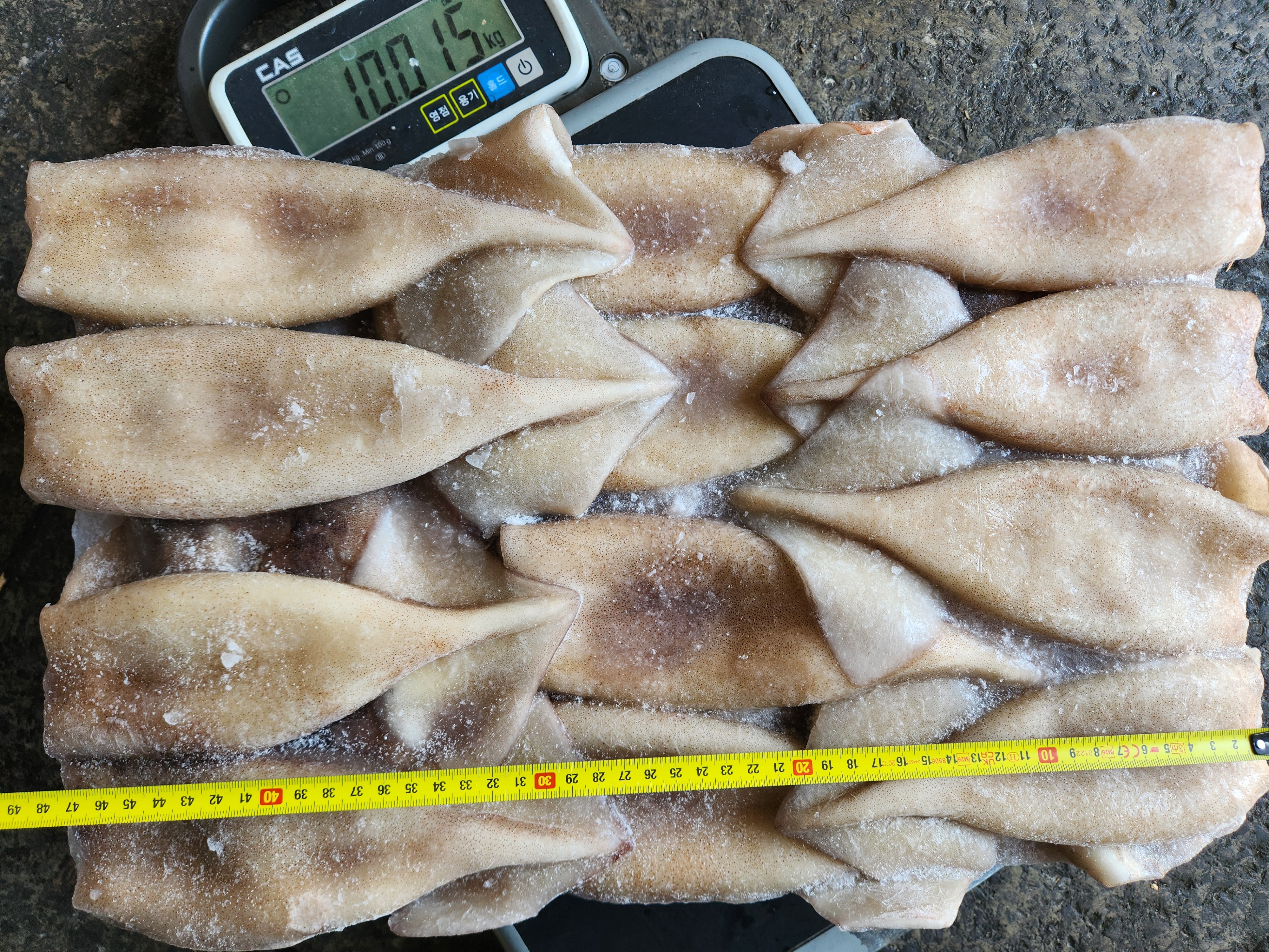 오징어 > 튜브(내장, 다리 제거) > 150/170G 6
