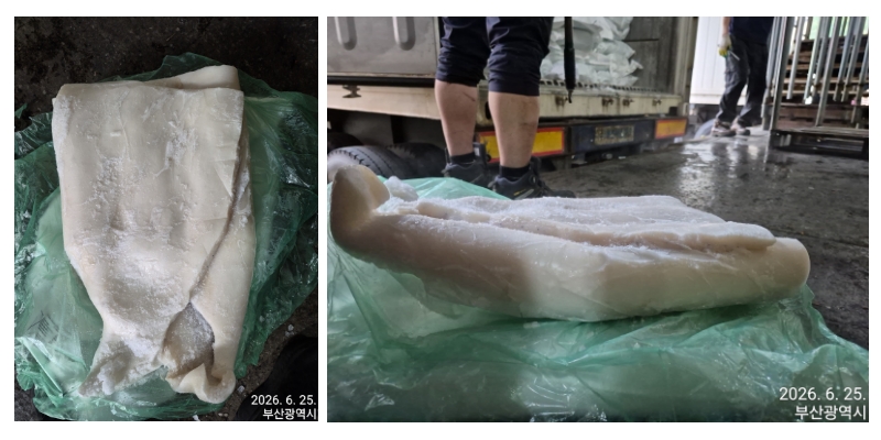 무라 > 몸 > 3KG UP 1
