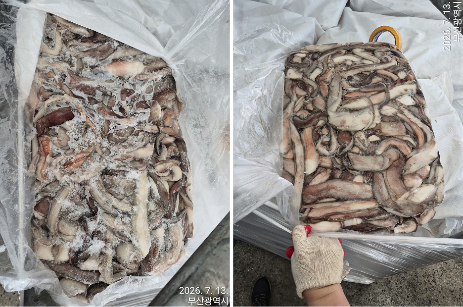 무라 > 장족 > 60CM UP 1