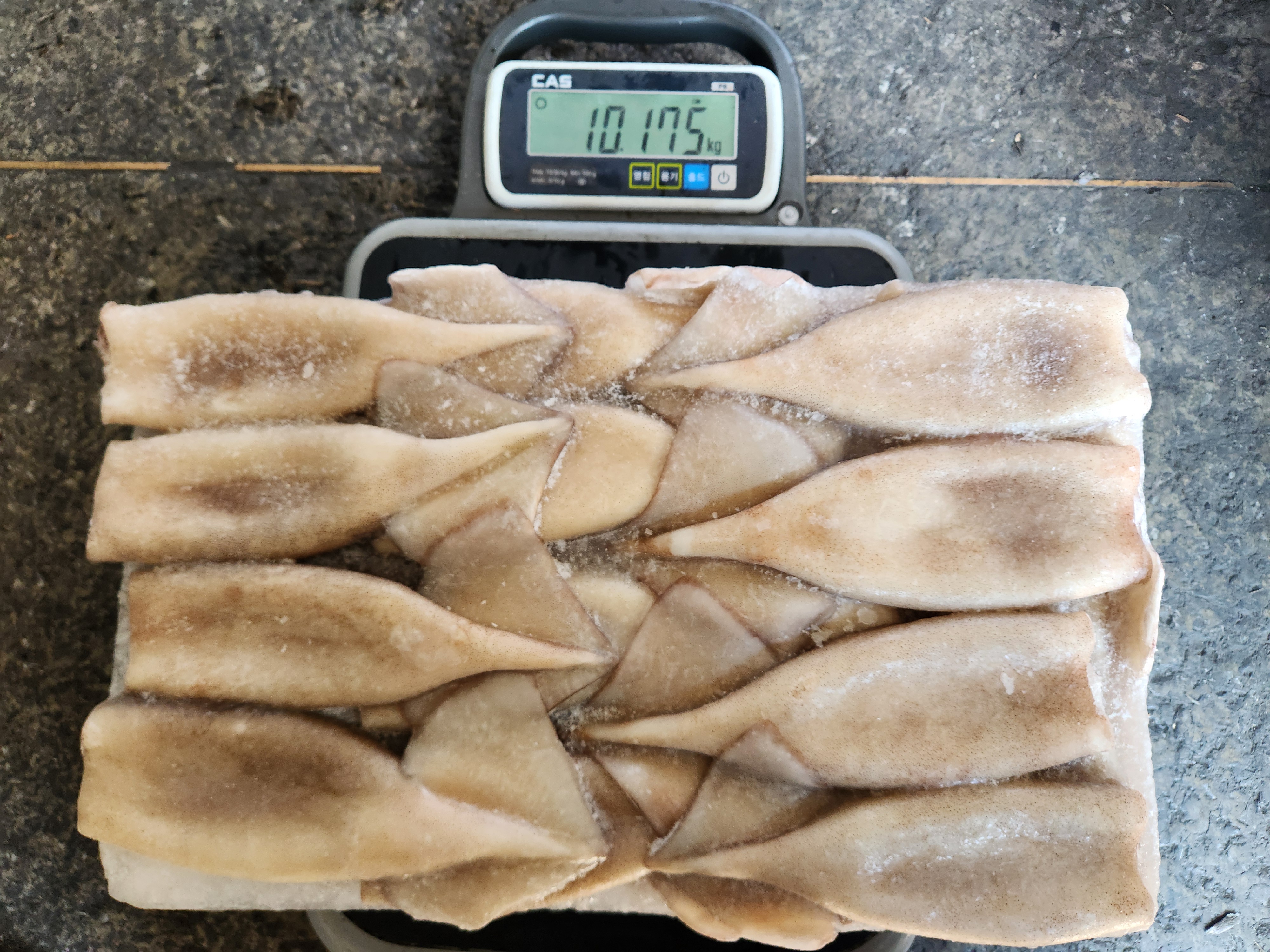 오징어 > 튜브(내장, 다리 제거) > 150/170G 3