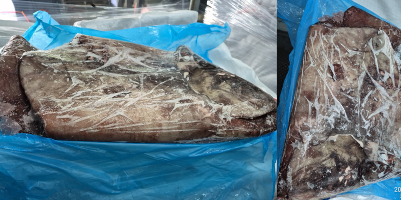 무라 > 귀 > 1KG UP 1