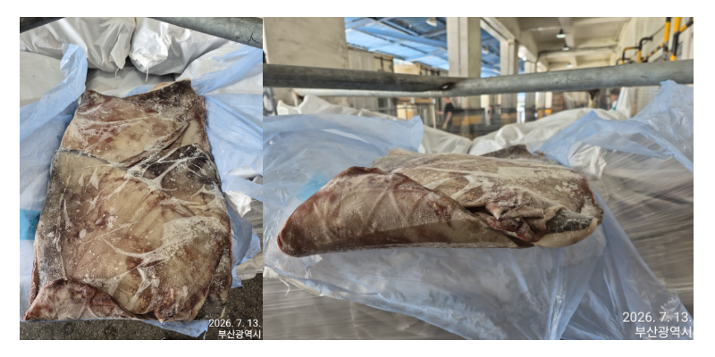 무라 > 귀 > 1KG UP 1