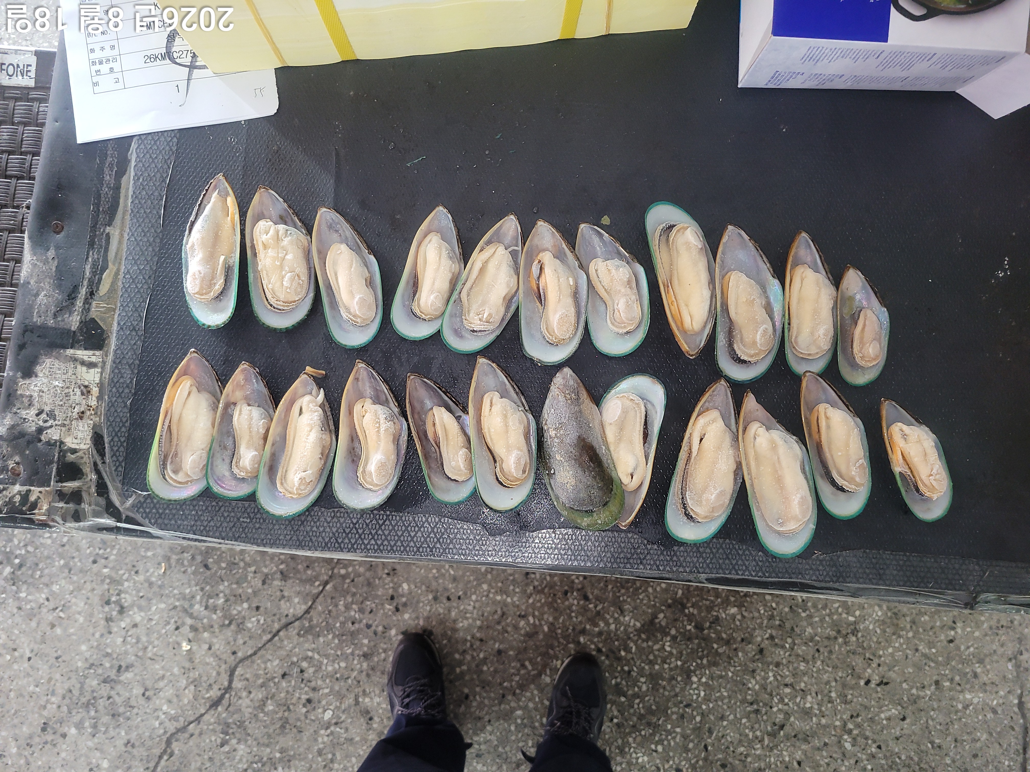 그린홍합 > 반탈각 > M 30/45 미/KG 8