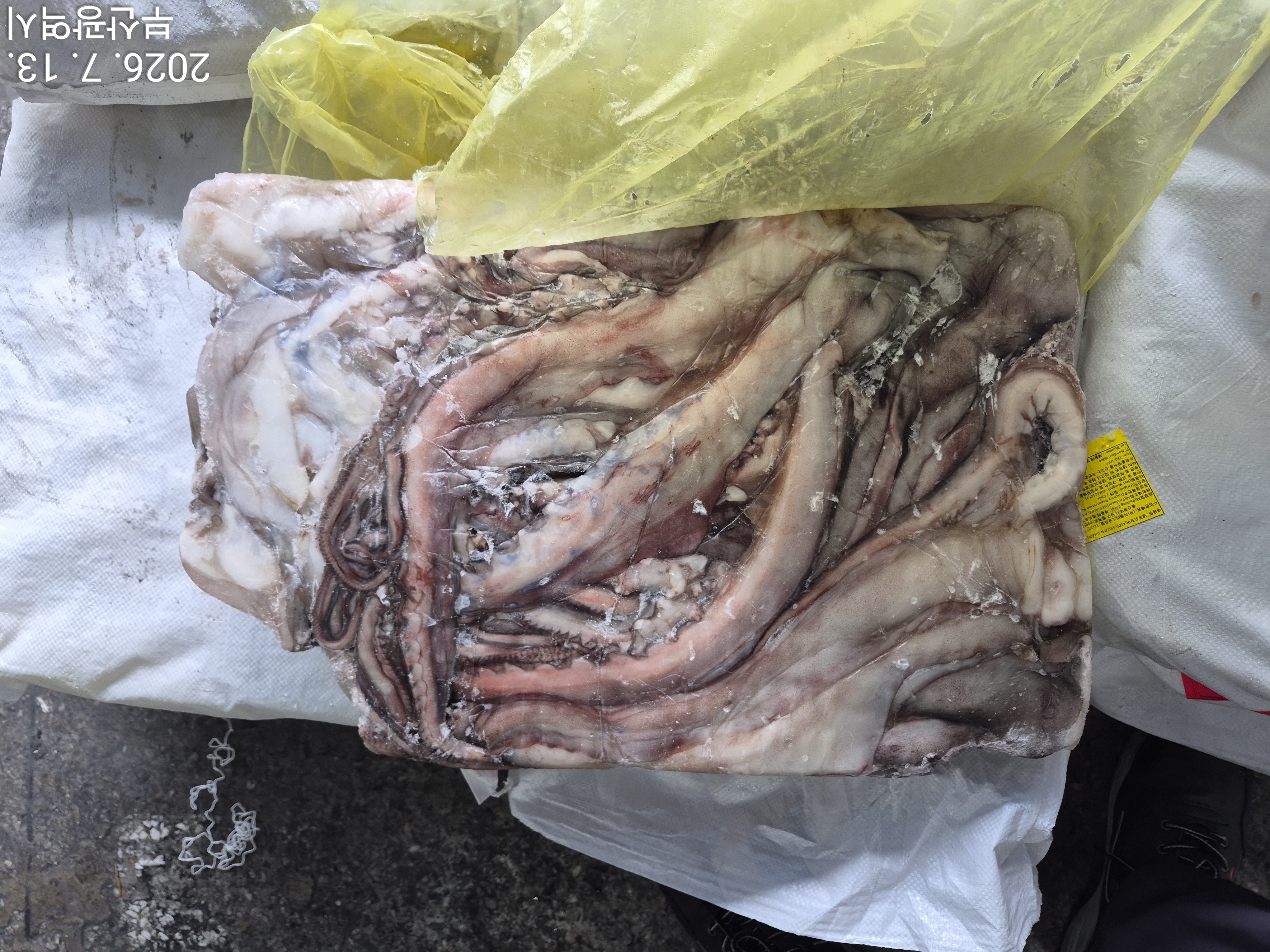 무라 > 단족 > 팔족 1KG UP 3