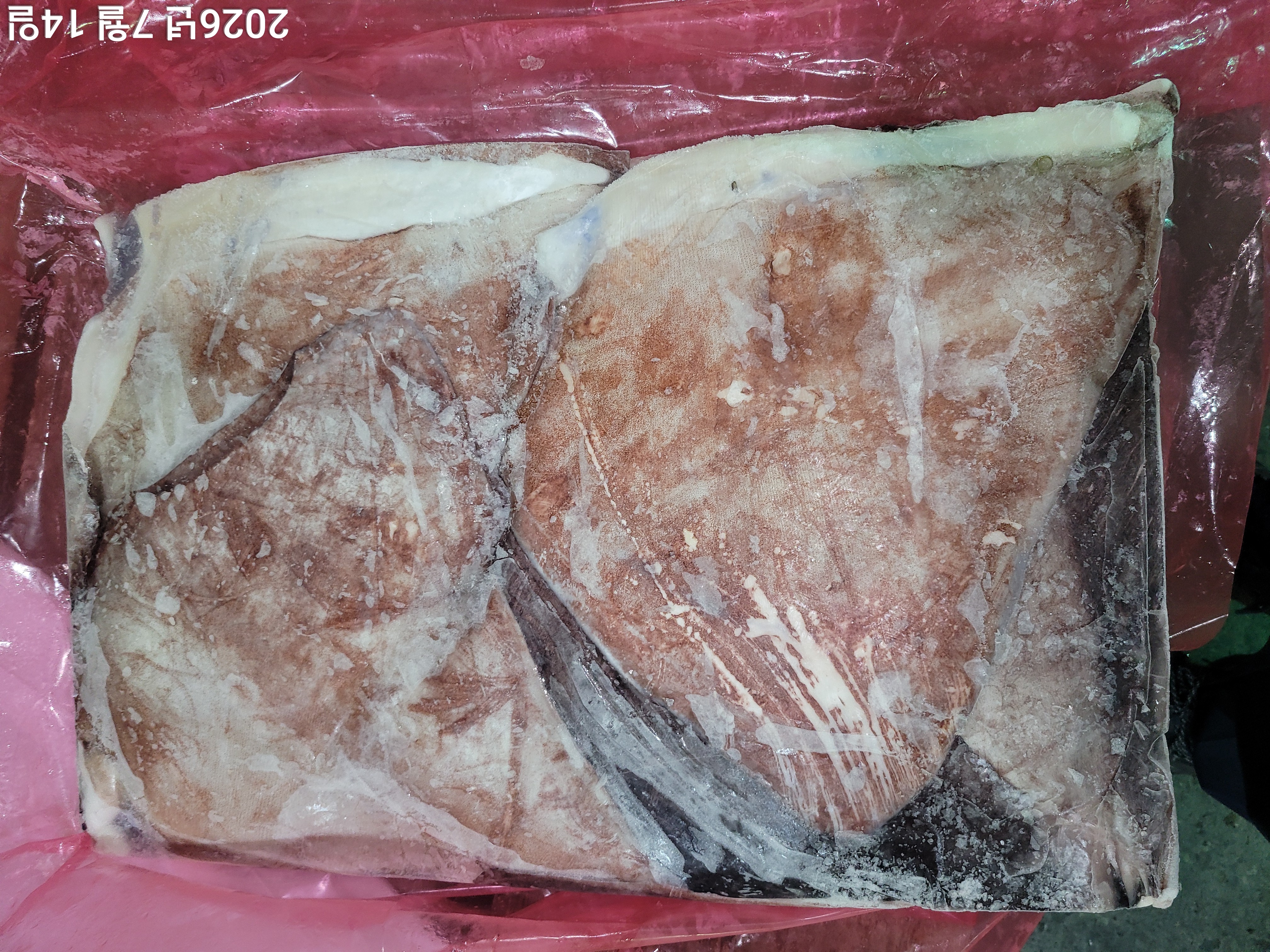 무라 > 귀 > 1KG UP 2