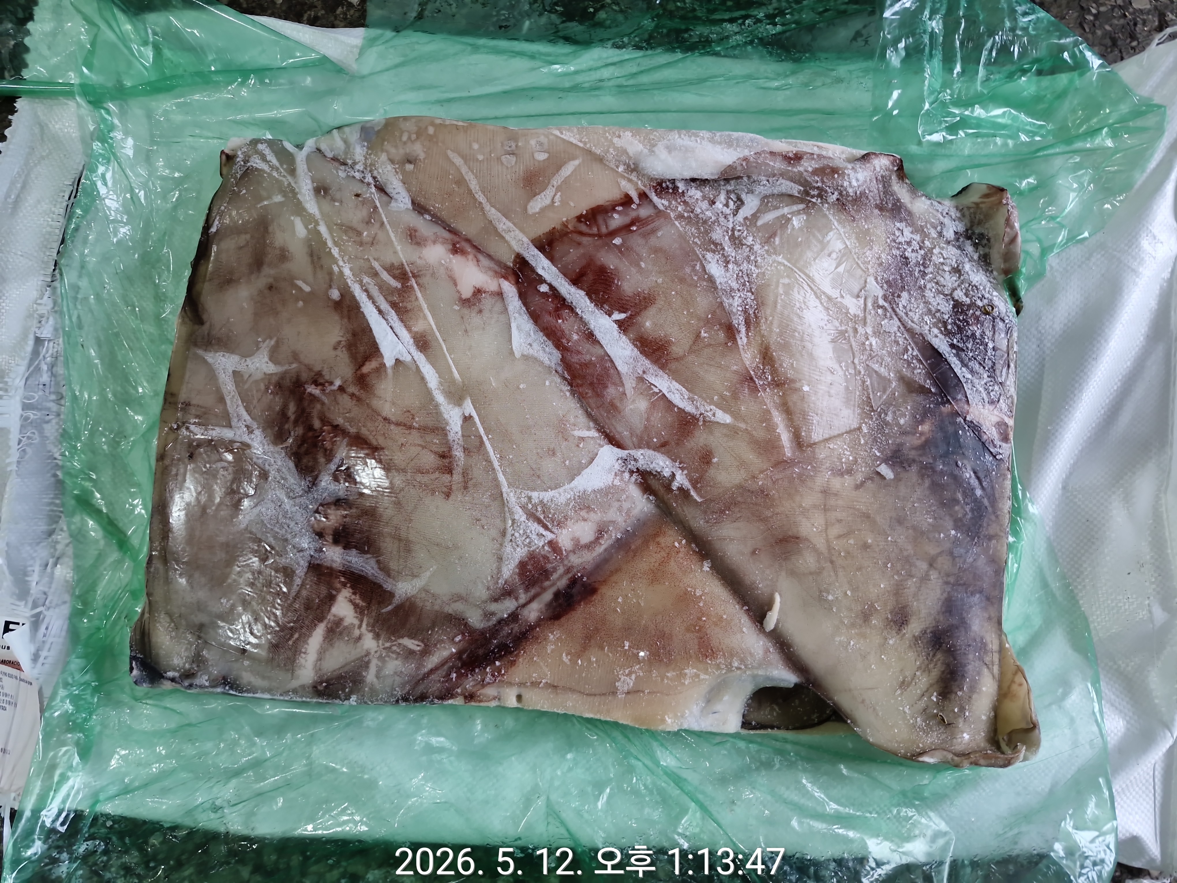 무라 > 귀 > 1KG UP 2