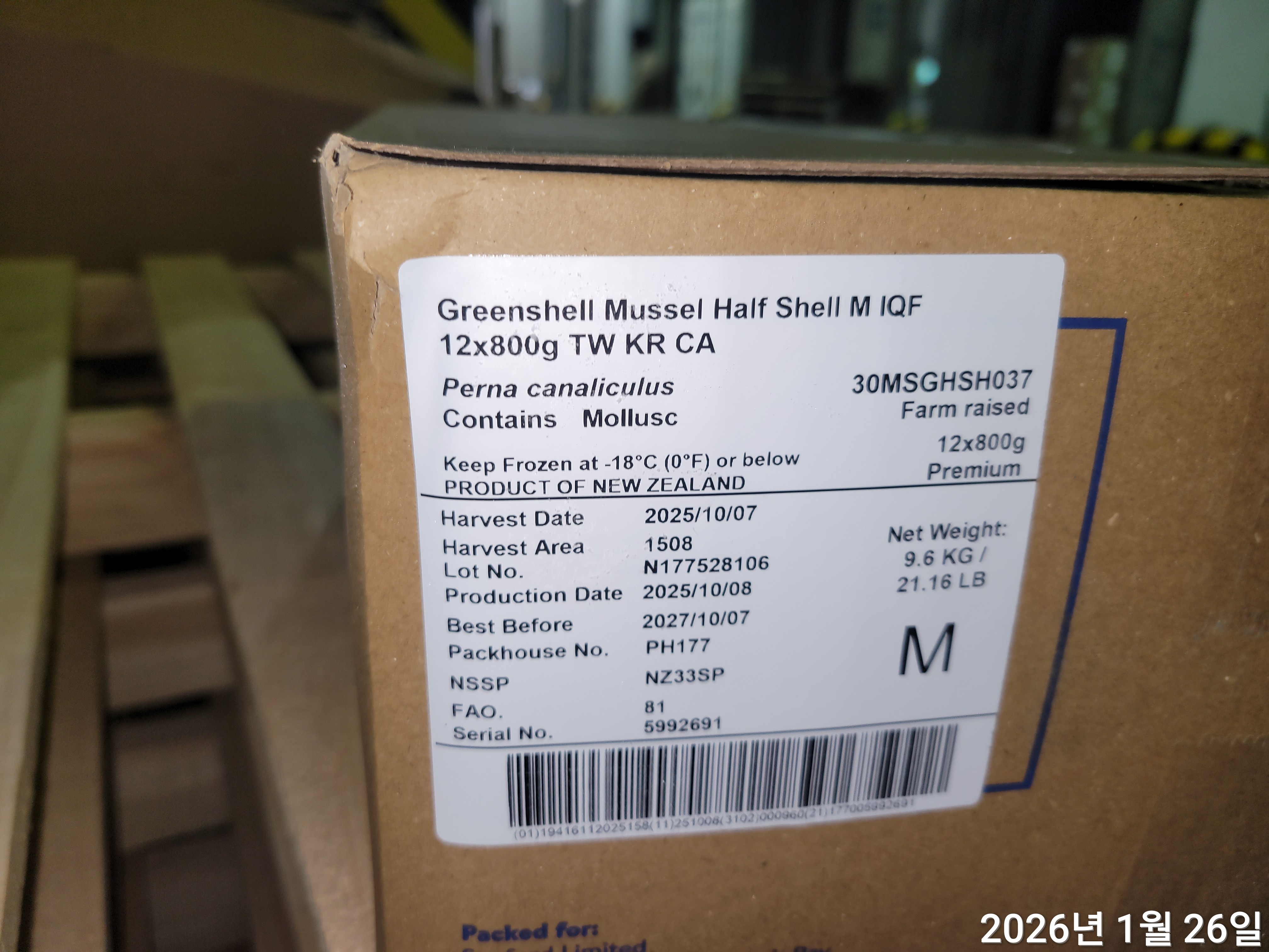 그린홍합 > 반탈각 > M 30/45 미/KG 12