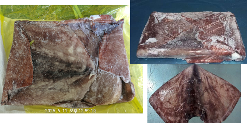 무라 > 귀 > 2KG UP 1