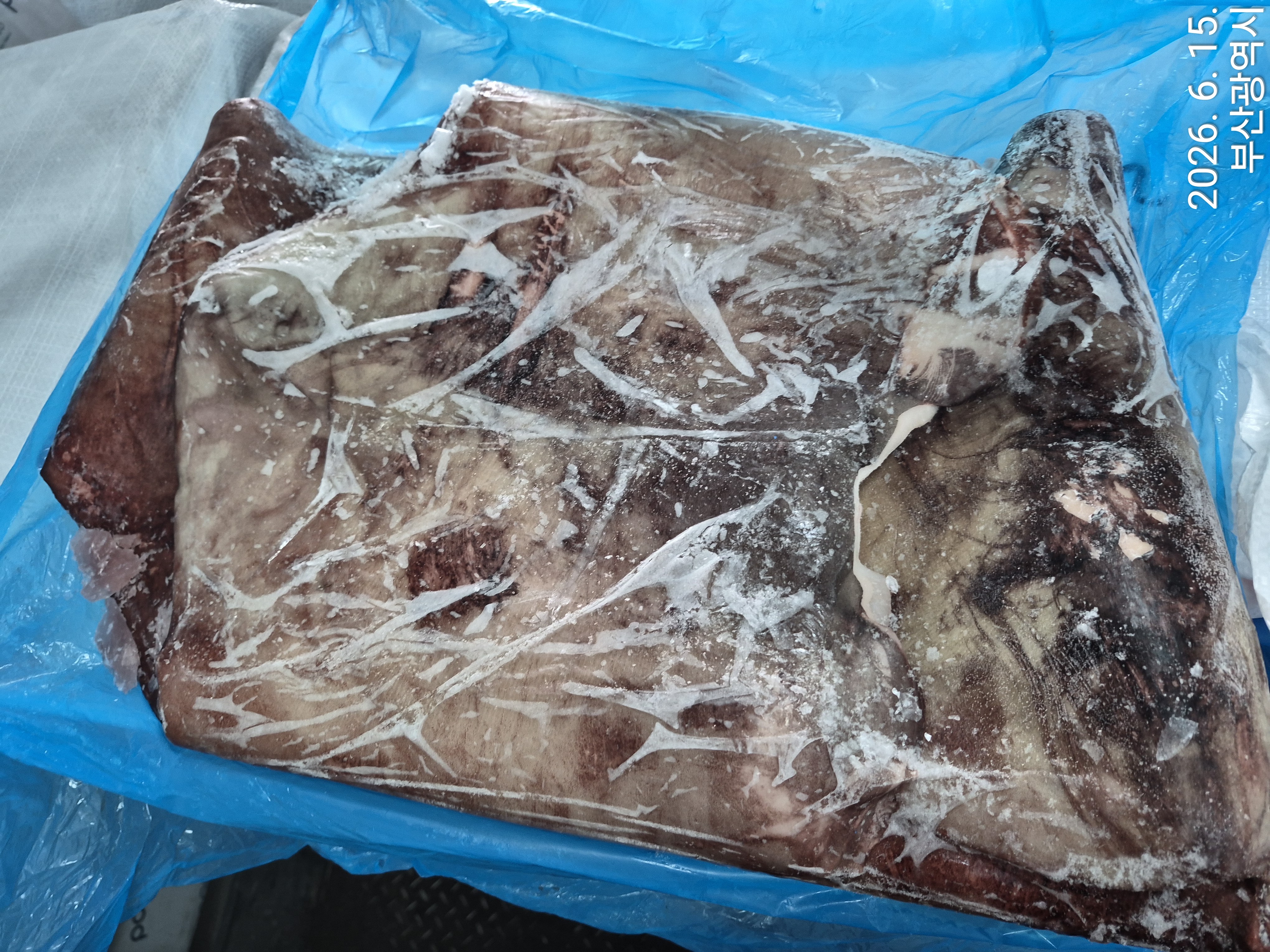 무라 > 귀 > 1KG UP 2
