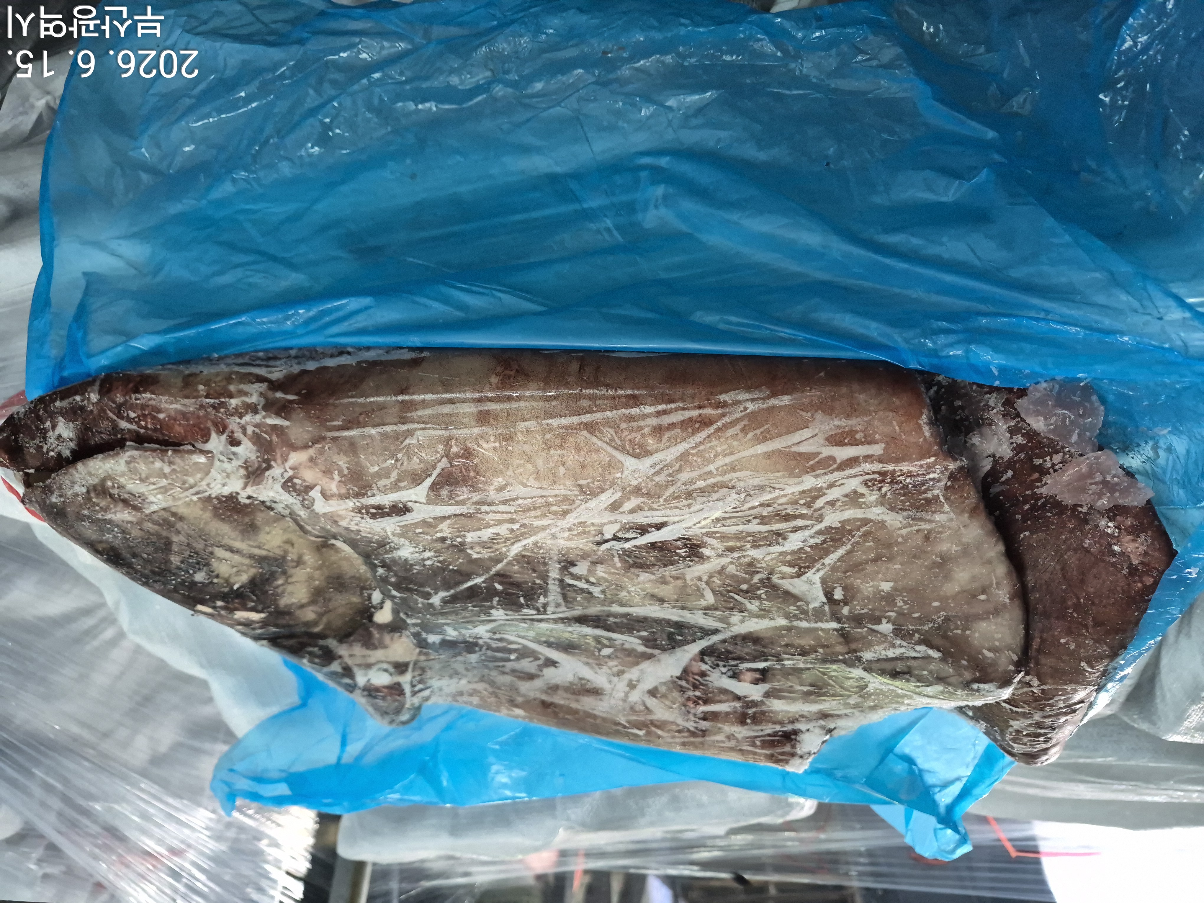 무라 > 귀 > 1KG UP 3