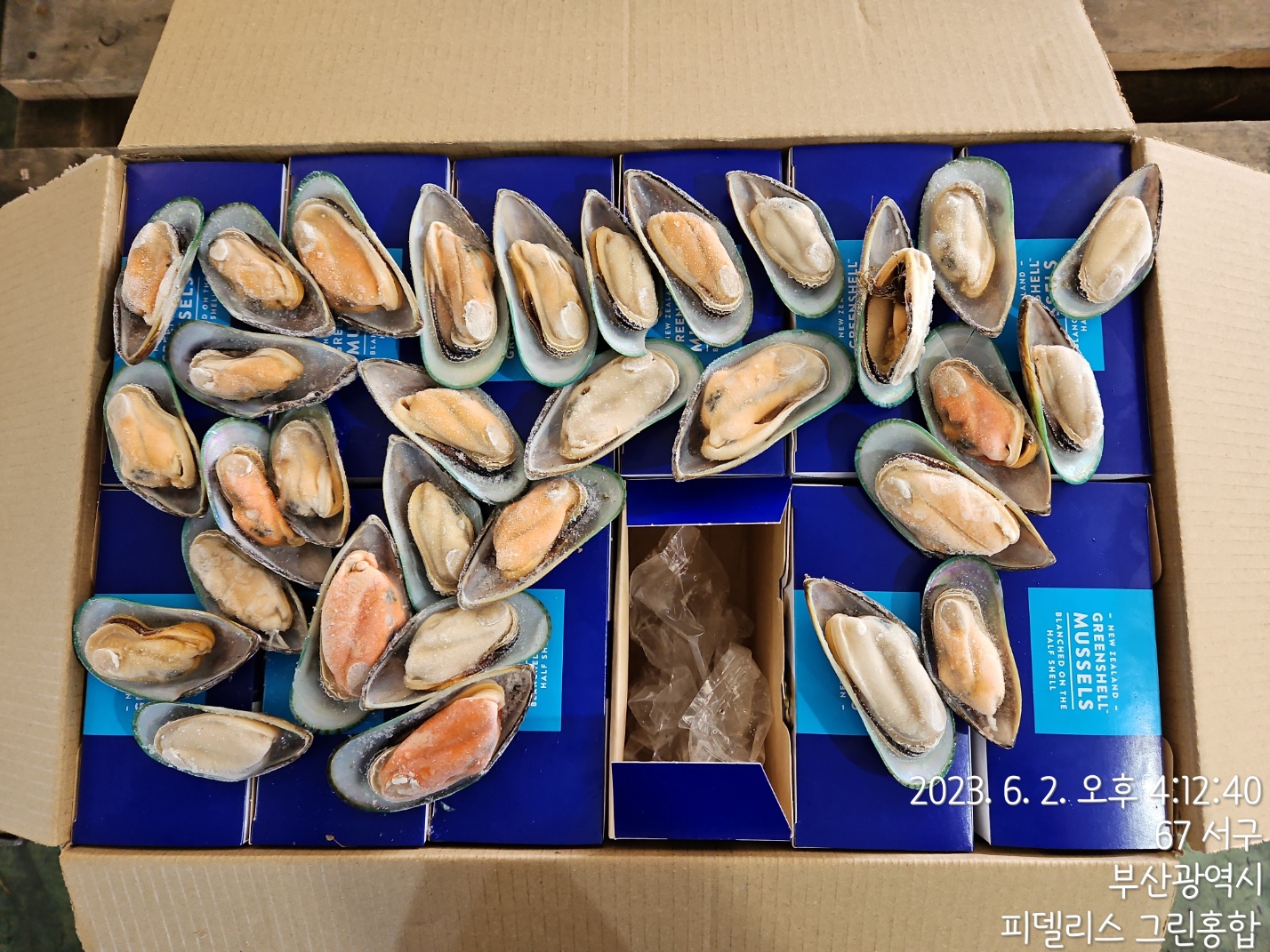그린홍합 > 반탈각 > M 30/45 미/KG 1